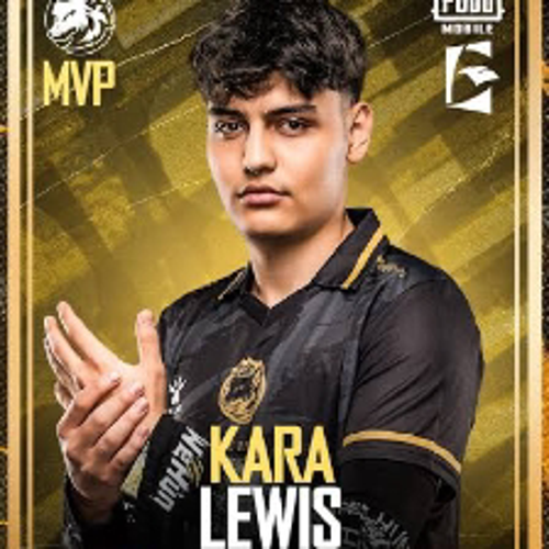 shadowkara01@gmail.com